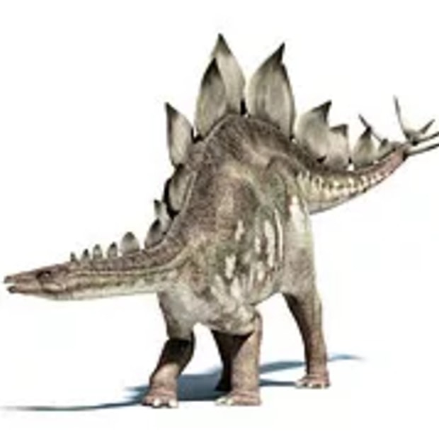 Stegosaurus