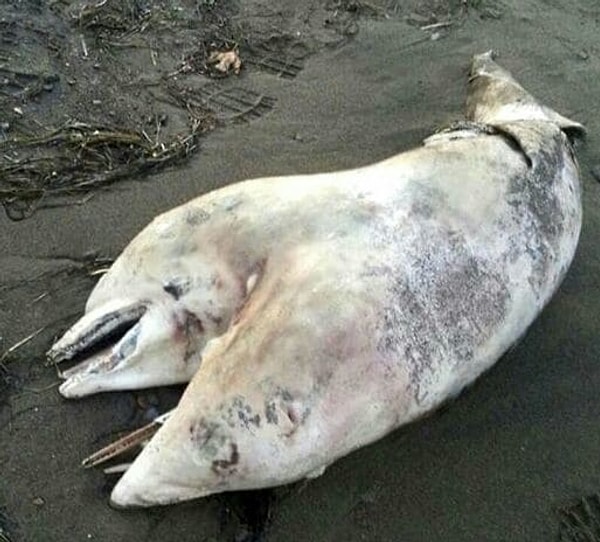 11. Никакая наука не объяснит ЭТО!