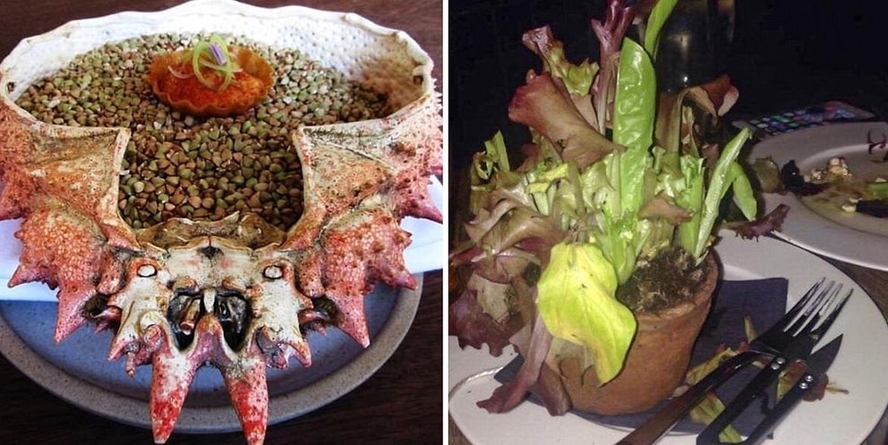 Все, что угодно, только не тарелка! Креативщики на кухне подают еду в огромной раковине краба и цветочных горшках с землей!
