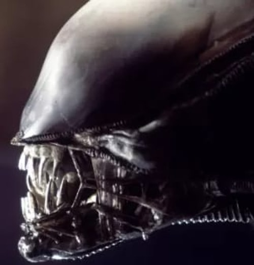 Yaratık filmindeki yartığın ilk modelinde gerçek bir insan kafatası kullanılmıştı. Tasarım tabi ki ünlü sanatçı H.R Giger'a aitti fakat kafatasını nereden bulduğunu asla açıklamadı.