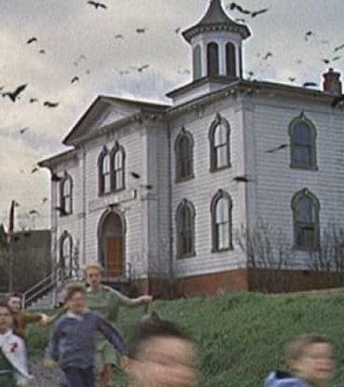 Hitchcock klasiği Kuşlar filmindeki ev gerçekten perili bir evmiş. Evin sakinleri geceleri ayak sesleri ve çocuk gülüşmeleri duyduğunu iddia ediyor.