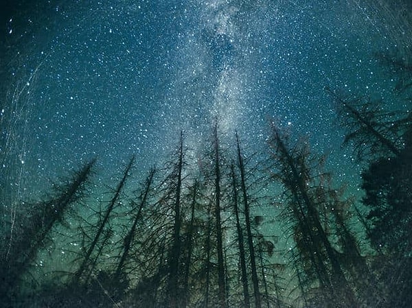 13. Кого называют "отцом наблюдательной астрономии"?