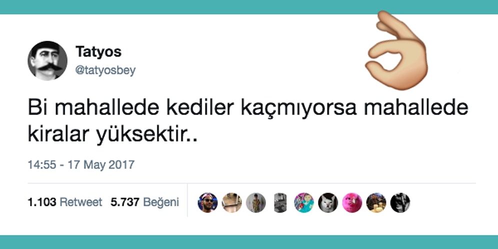 Yaptıkları Tespitlere Yüzde Yüz Hak Verirken Oldukça da Güleceğiniz 13 Kişi