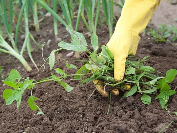 8. О чем вы думаете, смотря на эту картинку?