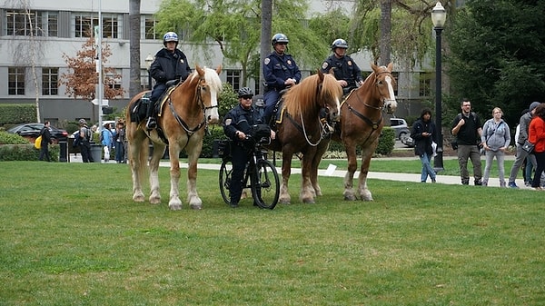 7. Этот полицейский явно на своей волне...