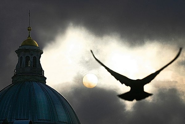 2. А от какой вас бросает в дрожь?