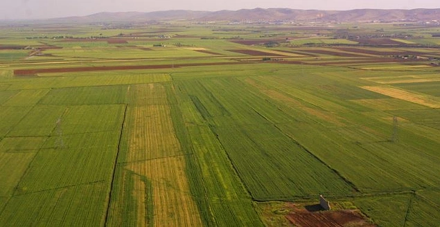 9- Hazineye ait olup, belediye mücavir alan sınırlar içinde tarımsal amaçlı kullanılan arazilerin kullanıcılarına doğrudan satışının önü açılıyor.