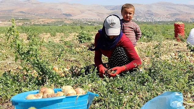 19- Mevsimlik tarım işçisi olarak bir başka ilde çalışmak amacıyla geçici olarak yer değiştirenlerin kimlik bildirimlerinin bu kişilerin yaşadıkları geçici yerleşim alanlarında doğrudan kolluk kuvvetlerince alınması sağlanıyor.