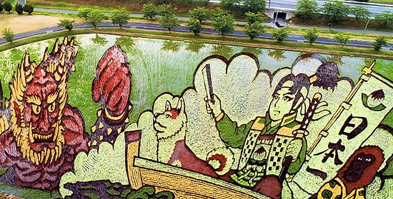 Японские фермеры изобрели новый вид искусства — гигантские картины из ростков риса на полях