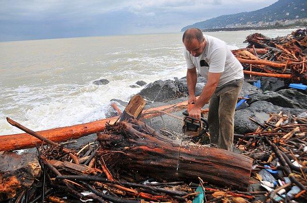 Yağmurun dinmesiyle birlikte kıyıda toplanan çok sayıda kişi, testerelerle kestikleri odunları toplamaya başladı.