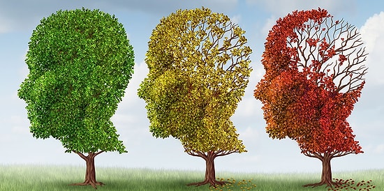 Тест: Узнайте, какой у вас психологический IQ?