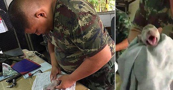 7. Tayland'da sel basan garajda mahsur kalan ve bir askerin suni teneffüsüyle hayata dönen yavru köpek 🐶