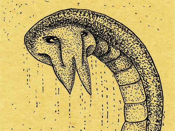 2. Что вы думаете об этом рисунке?
