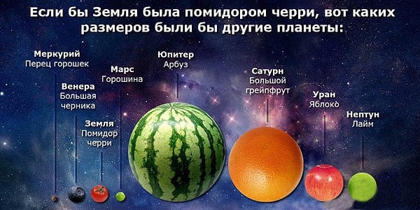 Посмотреть правильный ответ: