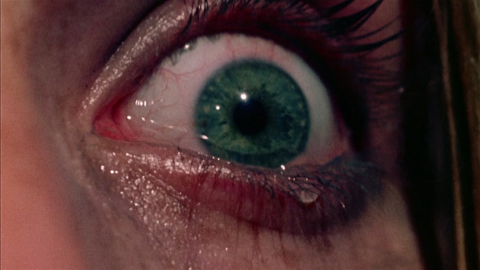 Karanlık, Sadece Karanlık: Ölümden Önceki 30 Saniyede Yaşananları Öğrenmek İster misiniz?