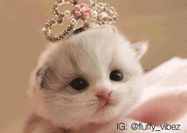 13. Когда меня спрашивают, с кем я себя ассоциирую. Ответ очевиден: