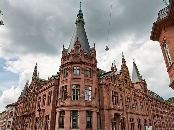 5. Чем бы вы занялись в свободное время?