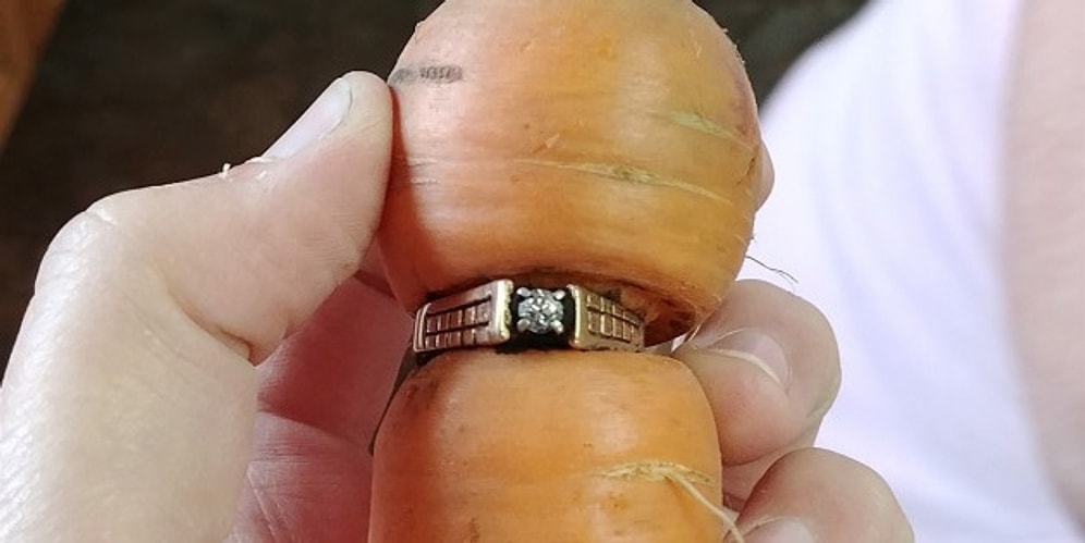 Дружба бриллианта и морковки: Потерянное кольцо канадки нашлось через много лет!