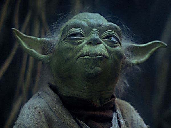 Показать правильный ответ