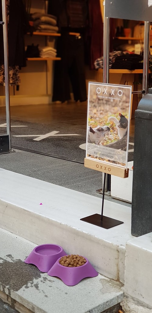 Sokaktaki dostlarımızla da bu mamalar gerek müşteriler ile gerekse Oxxo çalışanları aracılığı ile paylaşılıyor.