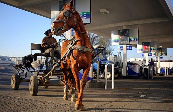 7. Johannesburg'de atlar bile benzinlikte mola veriyor.