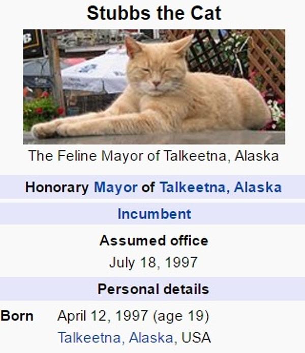 Öncelikle şunu belirtelim: İnanmayanlar kedinin Wikipedia’daki başlığına bir göz atabilirler.