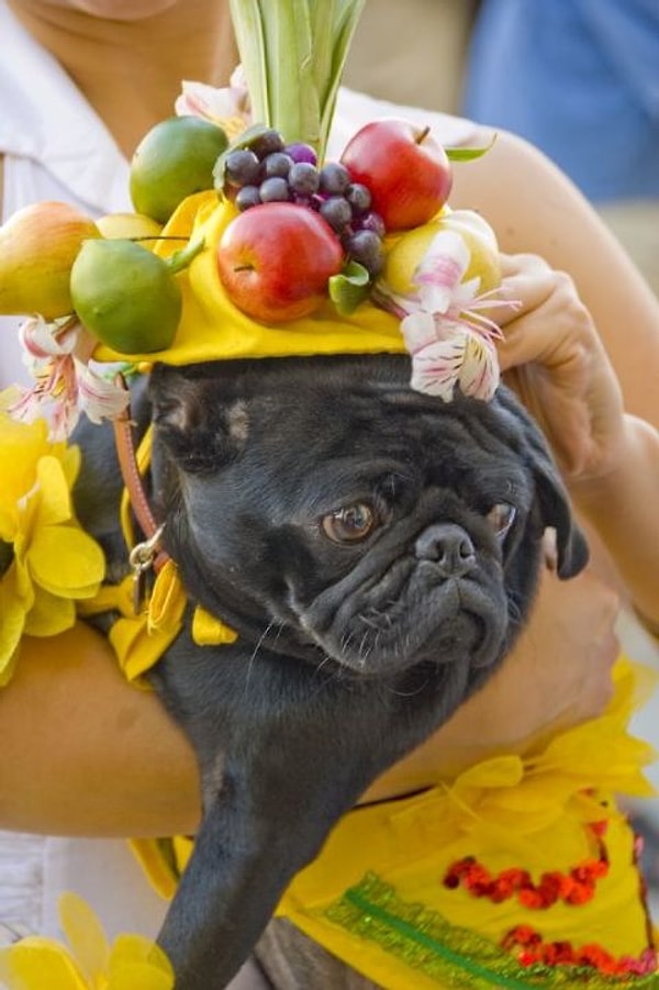 25. Фруктовая тарелка