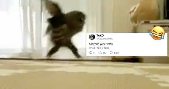 Geride Bıraktığımız Haftada Twitter'da Elden Ele Dolaşan En İyi 22 Videolu Tweet