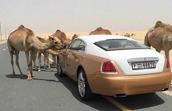 9. Вас могут остановить в Дубае... но это будут не полицейские