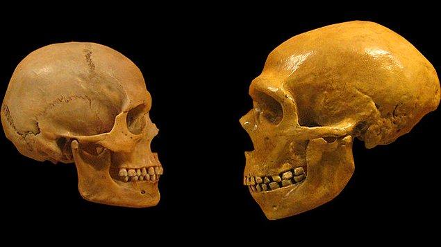 Kısacası bu genetik veriler sadece modern insan ve Neanderthallerin benzerliklerini bize öğretmeyecek; aynı zamanda türümüzün tarihine de geniş bir bakış açısı sunacak.