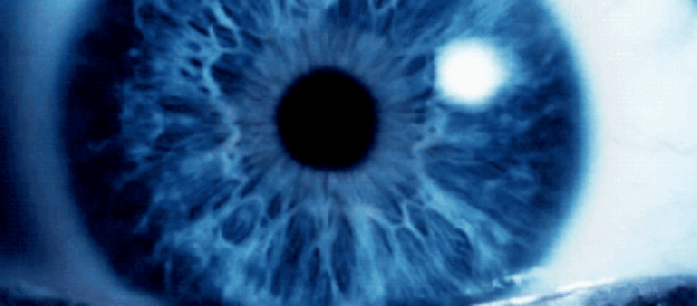 s-7fe7c7ea2396ca5dce48e7028bcc9945aa1f4321.gif