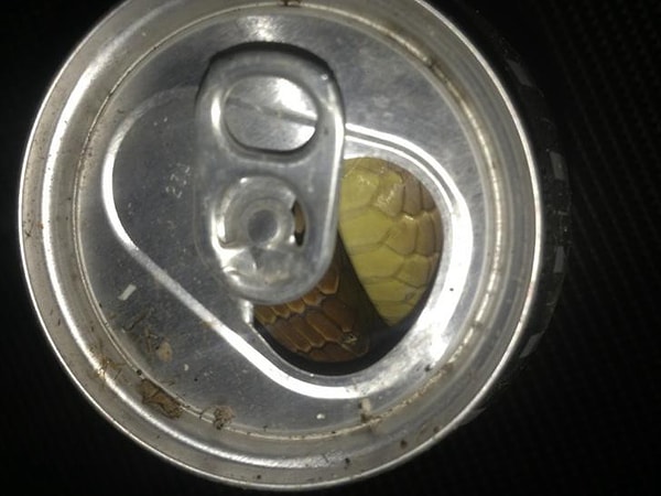 8. Что думаете об этом?