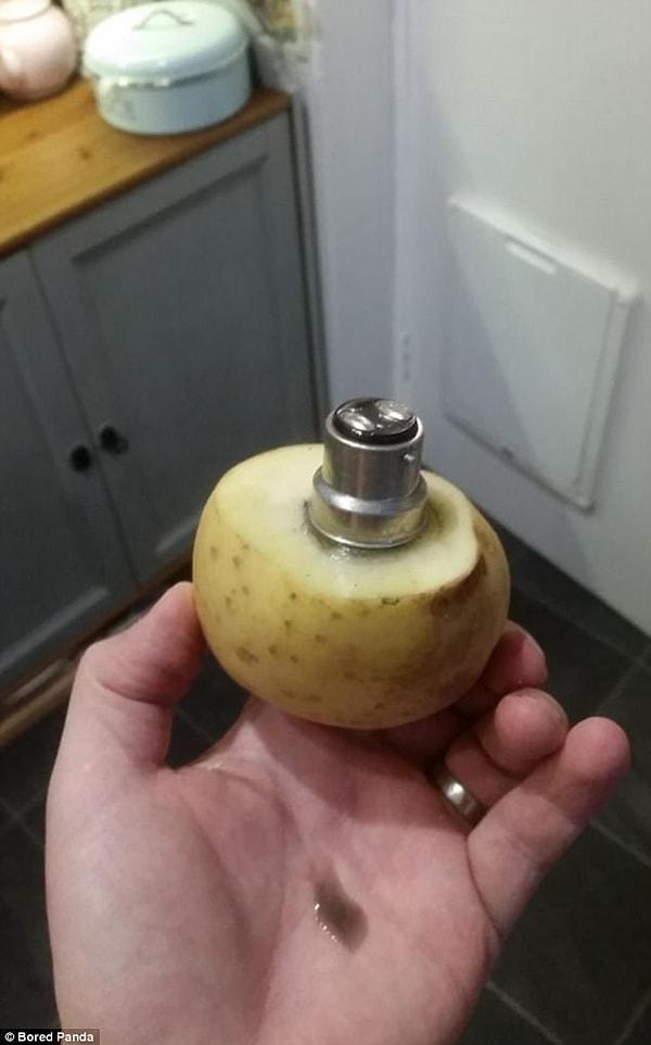 12. Bu kullanıcı kırık ampulu yerinden çıkartmak için patates kullanılabileceğini keşfetmiş.