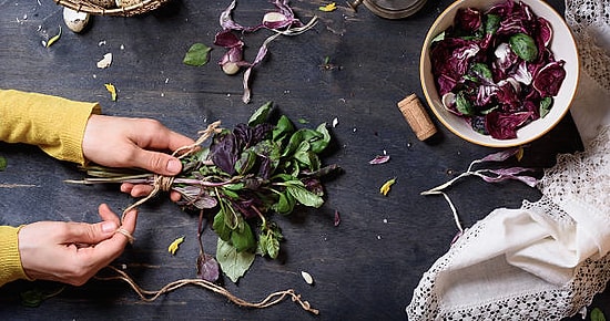 Тест: Только 5% процентов женщин смогут правильно назвать все растения этого теста