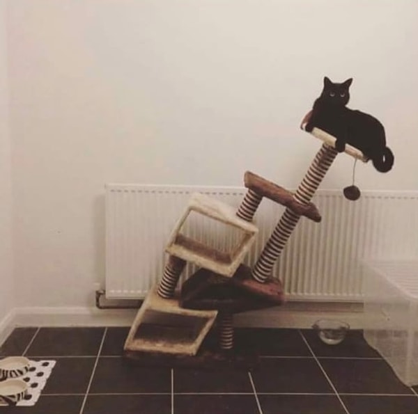 4. Мне бы оставаться такой спокойной, когда что-то идет не так