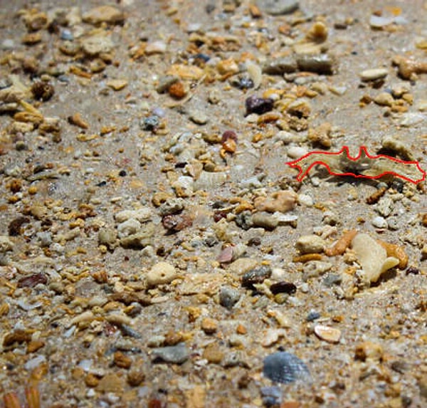 Посмотреть правильный ответ: