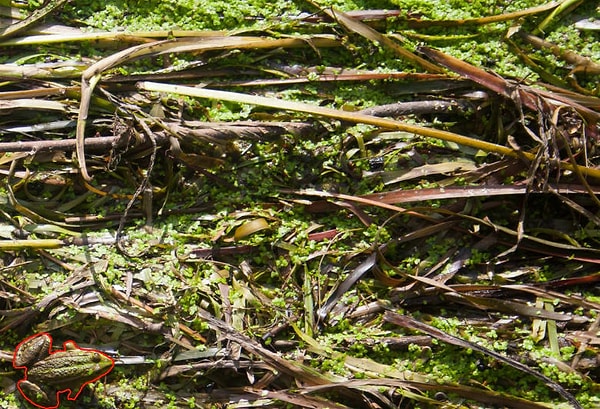 Посмотреть правильный ответ: