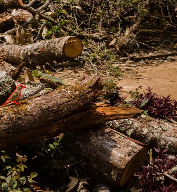 Посмотреть правильный ответ: