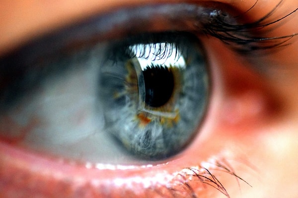 К сожалению, у вас не орлиное зрение!