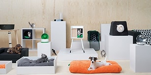 Patilere Konfor! IKEA'nın Minik Dostlarınızı Kendine Aşık Edecek Yeni Mobilya Koleksiyonu
