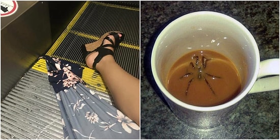 16 мерзко-жутких ситуаций, от которых у каждого пробегут мурашки по телу