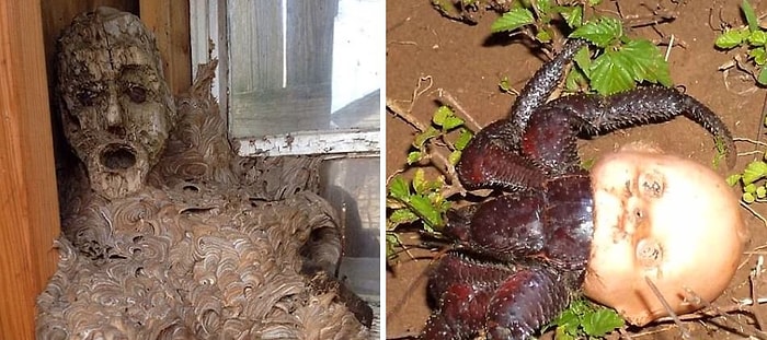 Madalyonun Diğer Yüzü! Doğa Ananın Karanlık Gerçeklerini Gösteren 20 Çarpıcı Fotoğraf