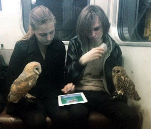 17. Юные волшебники решили прокатиться на магловском метро