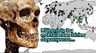 Kayıp İnsan Türü Neandertal’lere Sandığımızdan Daha Yakın Olabiliriz!