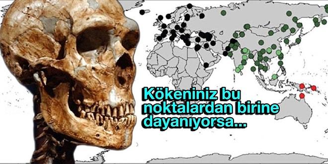 Kayıp İnsan Türü Neandertal’lere Sandığımızdan Daha Yakın Olabiliriz!