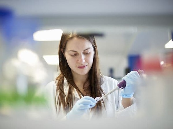 5. Идеальная работа для вас - это...