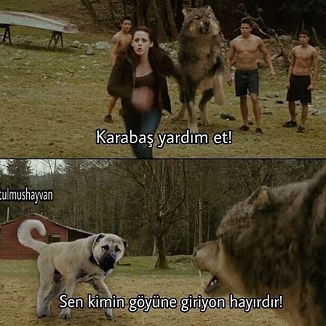 12. Twilight Sivas