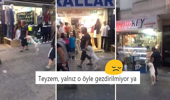 Geride Bıraktığımız Haftada Twitter'da Elden Ele Dolaşan En İyi 18 Videolu Tweet