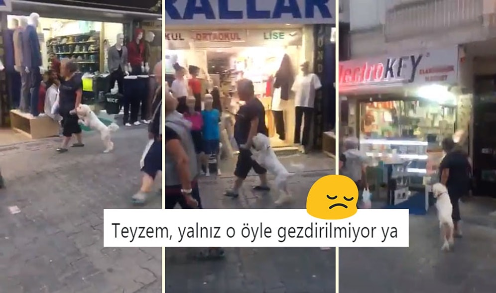 Geride Bıraktığımız Haftada Twitter'da Elden Ele Dolaşan En İyi 18 Videolu Tweet