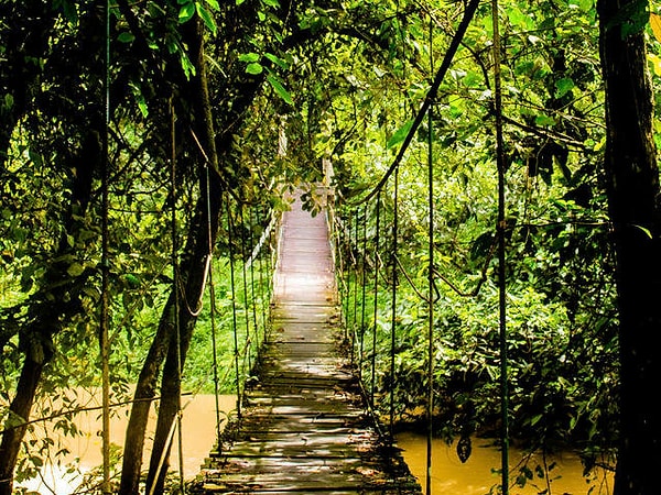 5. Какой оттенок доминирует над остальными?